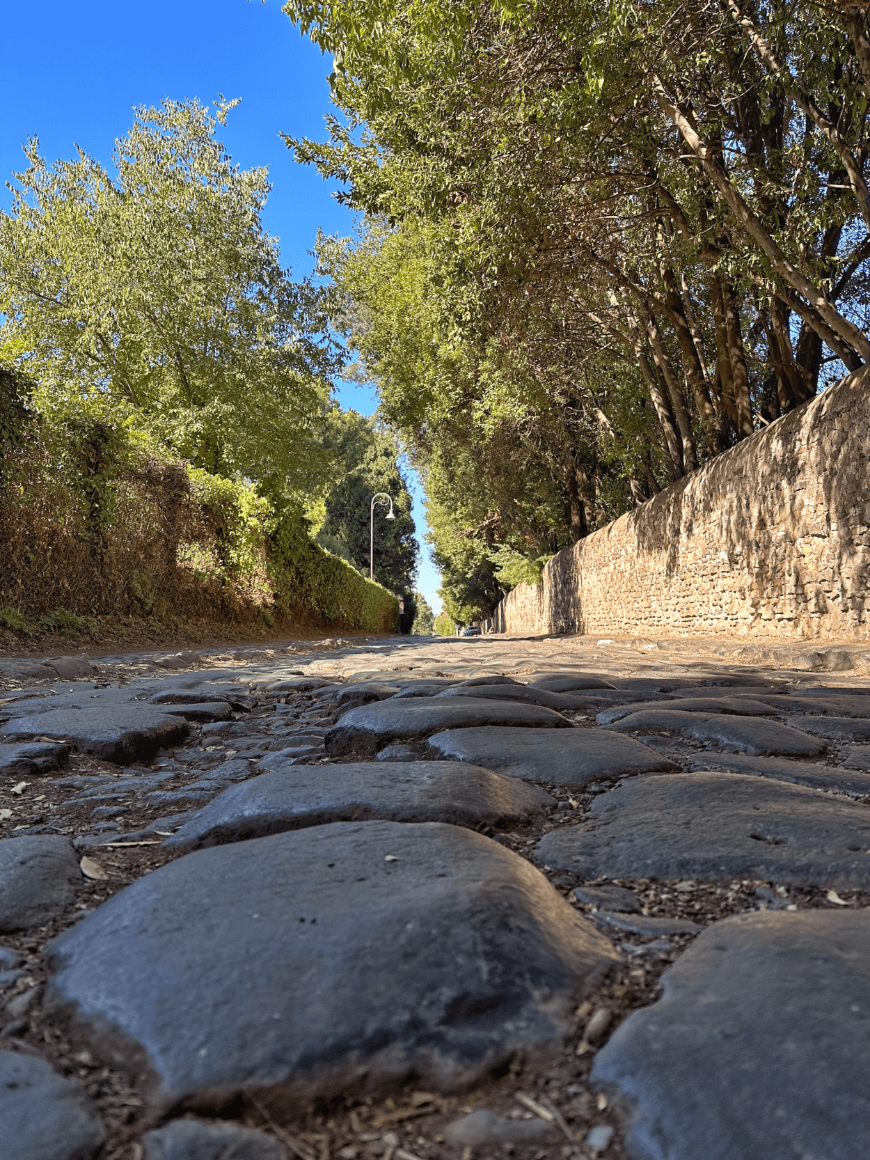 Der Park der Aquädukte in Rom Das Erbe Roms Das Erbe Roms